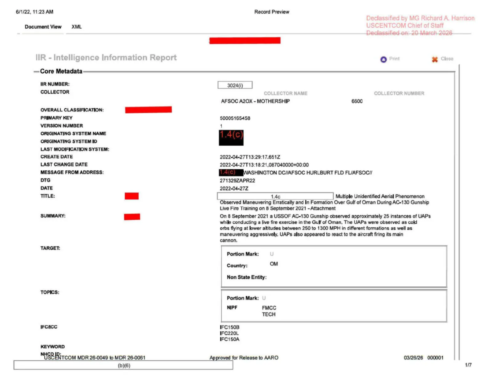 Strona 1 raportu IIR – metadane i streszczenie